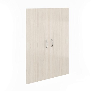 Дверь средняя 2 шт. ФР-8.1